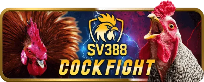 Đá gà Thomo trực tiếp tại lucky888 game